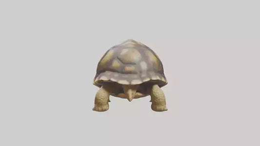 3D model Plowshare Tortoise walking model VR / AR / low-poly
