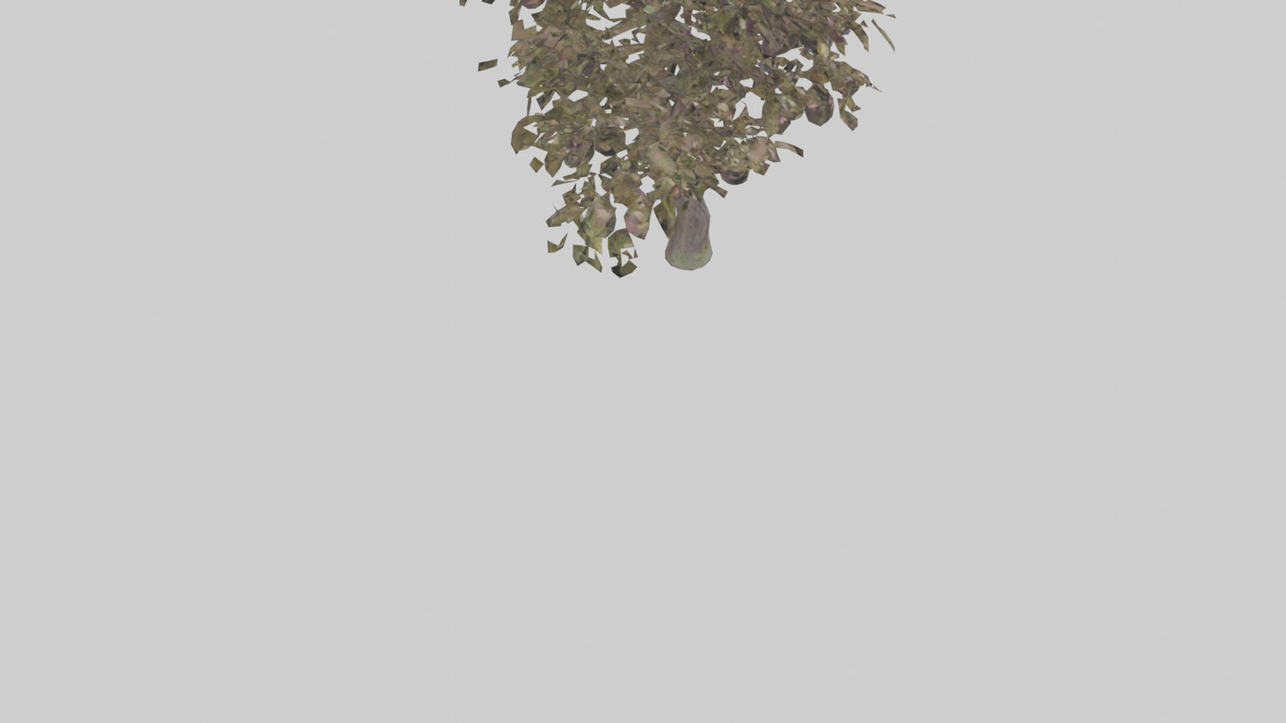 3D model Plum tree model VR / AR / low-poly