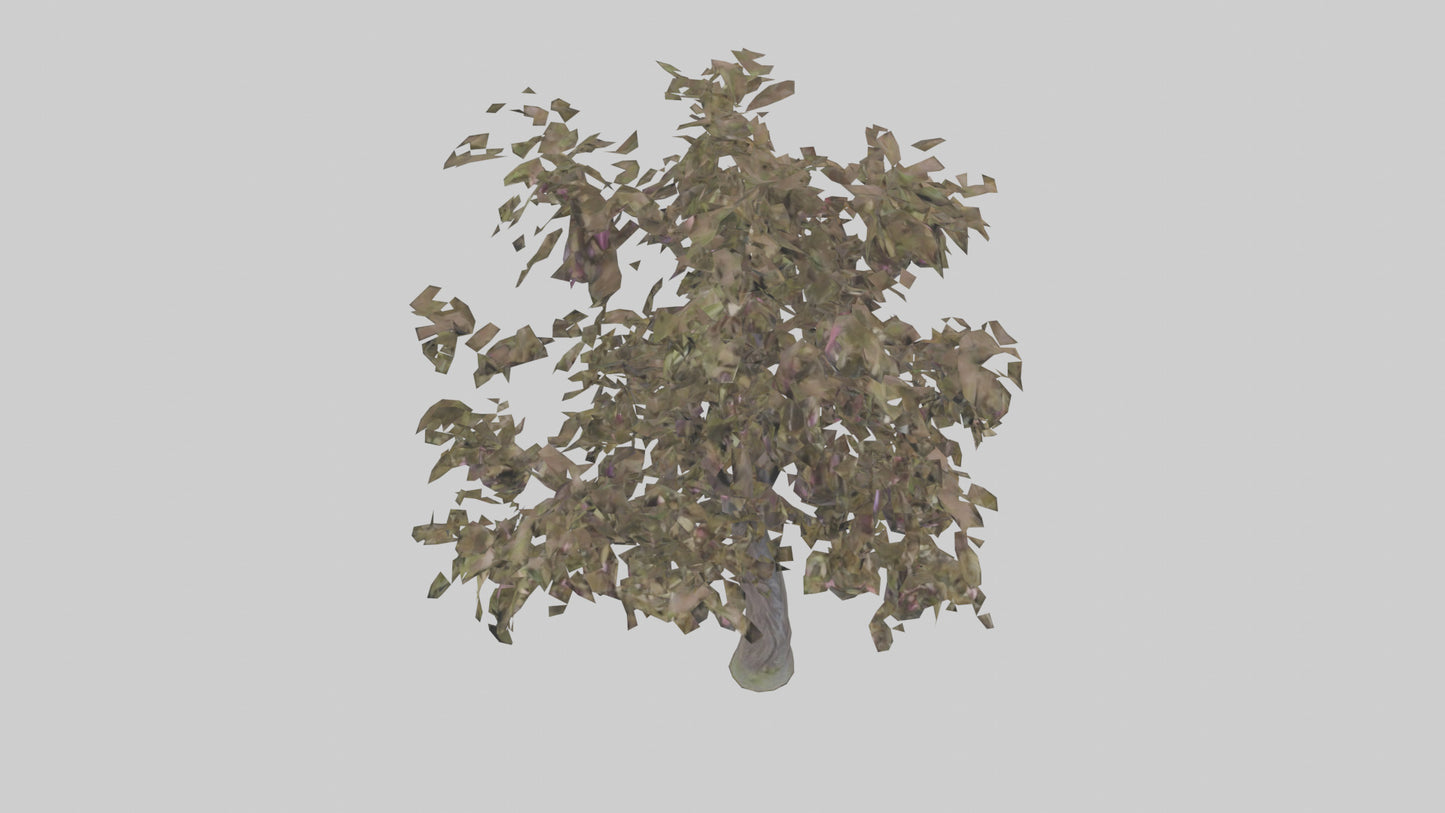 3D model Plum tree model VR / AR / low-poly