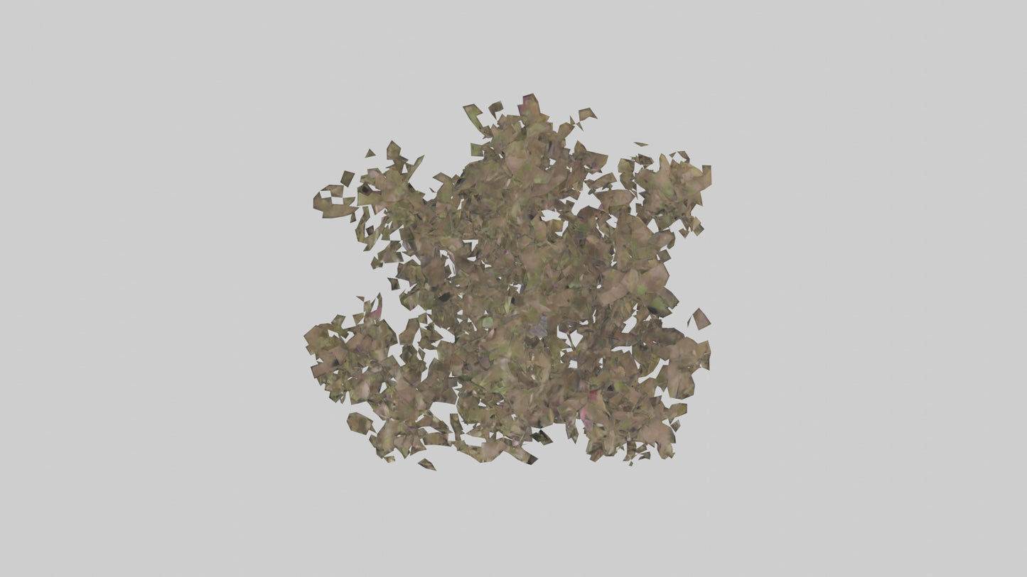 3D model Plum tree model VR / AR / low-poly