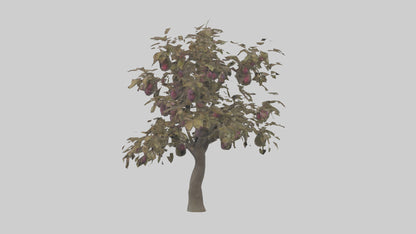 3D model Plum tree model VR / AR / low-poly
