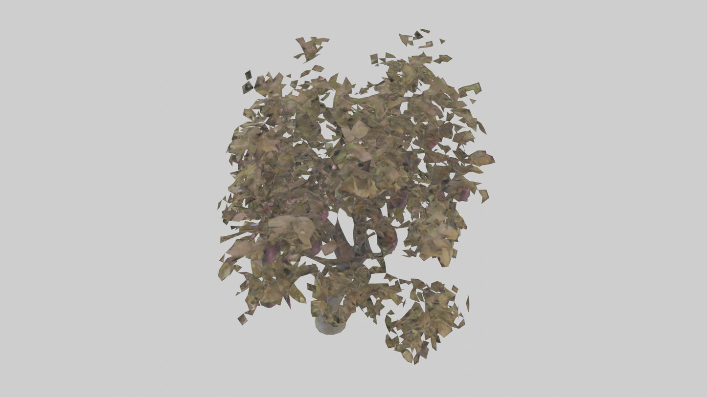 3D model Plum tree model VR / AR / low-poly