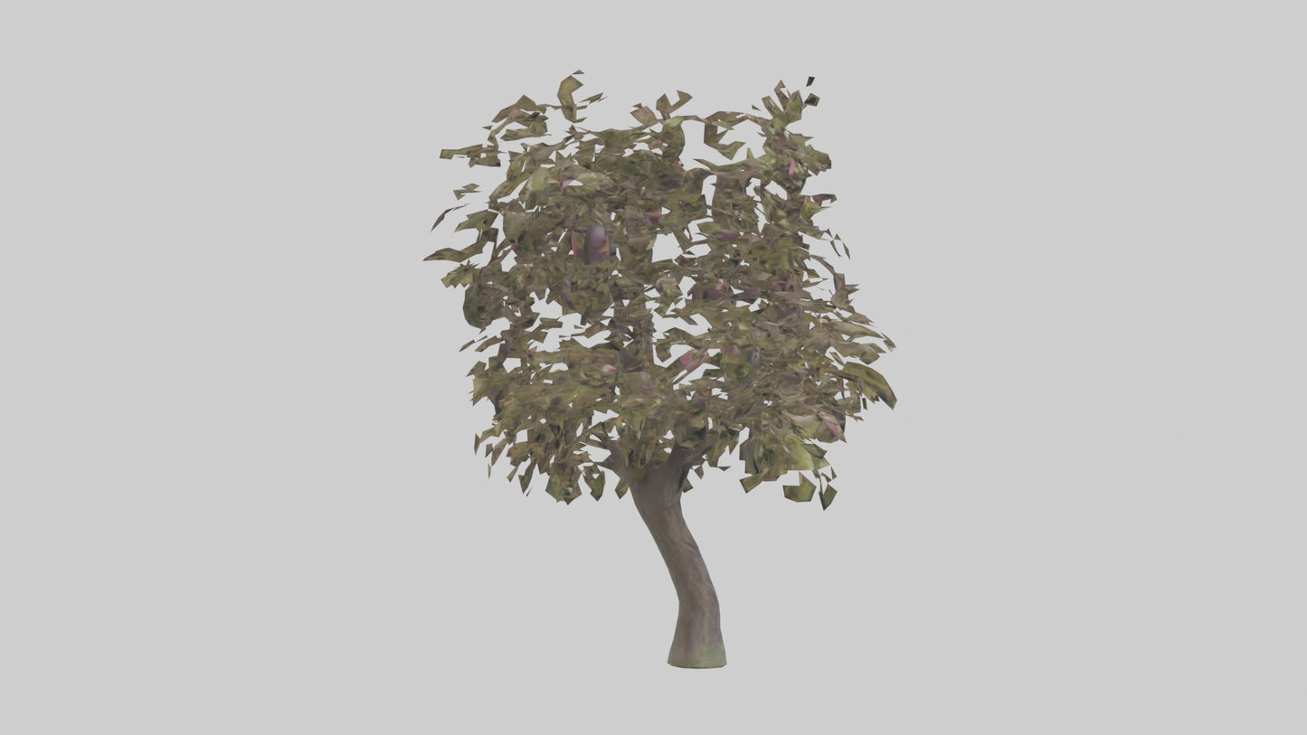 3D model Plum tree model VR / AR / low-poly