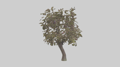 3D model Plum tree model VR / AR / low-poly