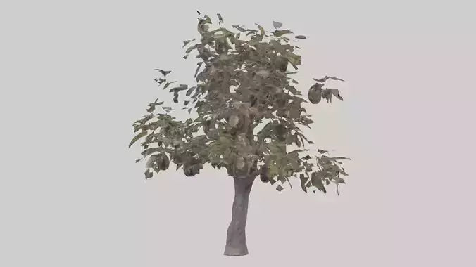 3D model Plum tree model VR / AR / low-poly