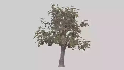 3D model Plum tree model VR / AR / low-poly