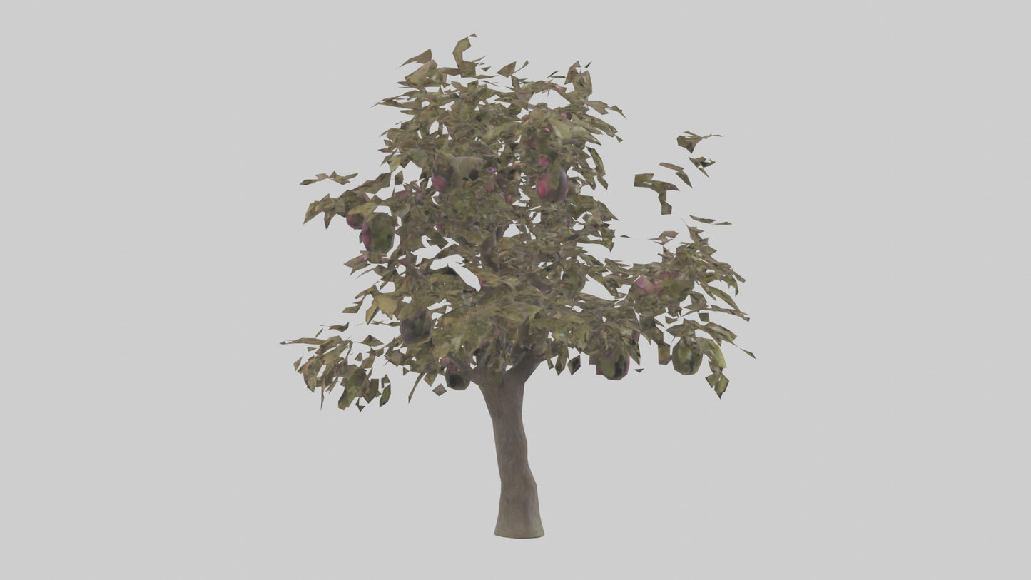 3D model Plum tree model VR / AR / low-poly