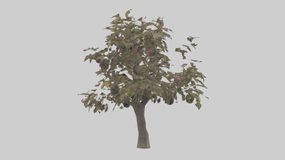 3D model Plum tree model VR / AR / low-poly