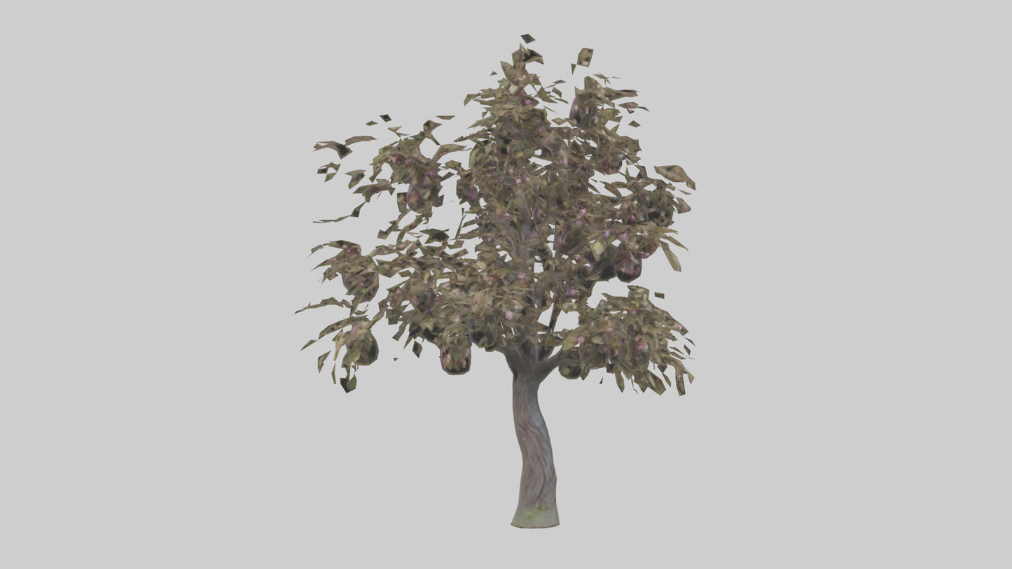 3D model Plum tree model VR / AR / low-poly