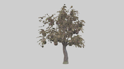 3D model Plum tree model VR / AR / low-poly