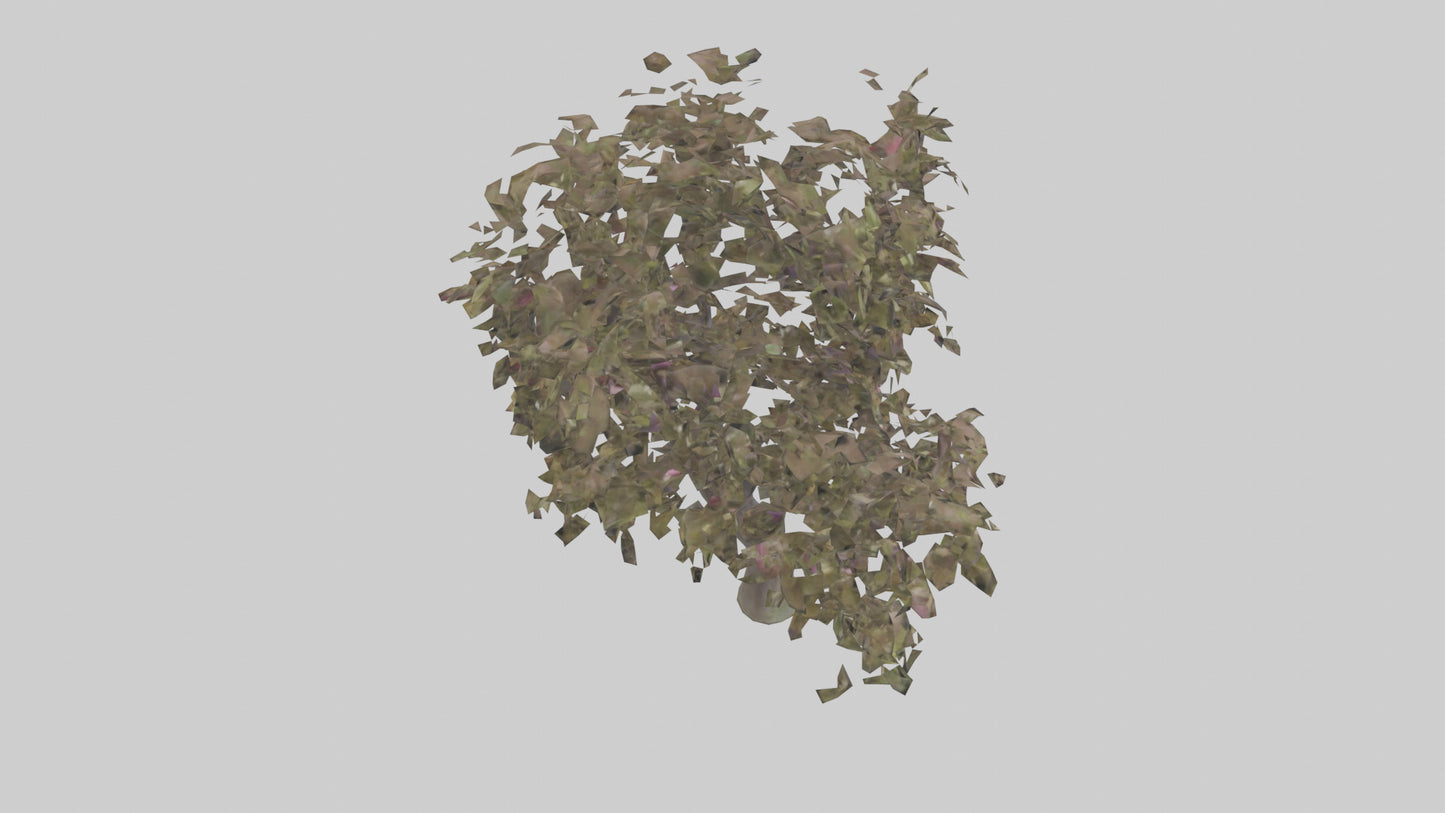 3D model Plum tree model VR / AR / low-poly