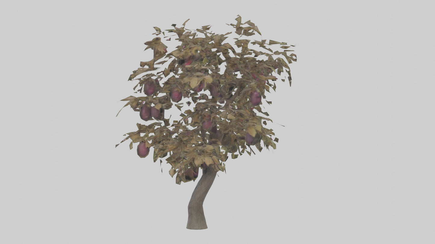 3D model Plum tree model VR / AR / low-poly