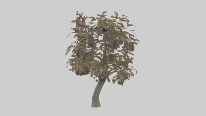3D model Plum tree model VR / AR / low-poly