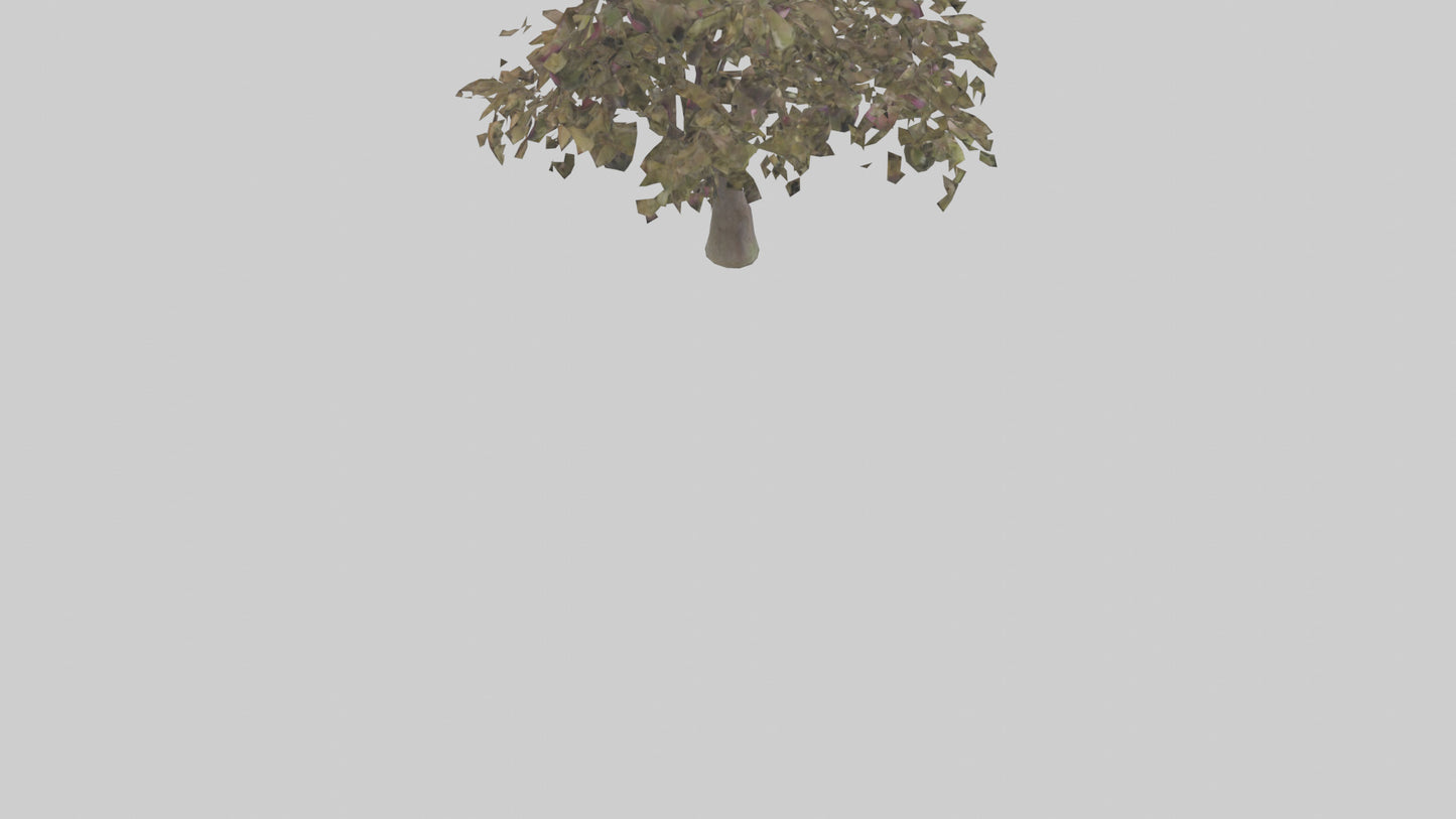 3D model Plum tree model VR / AR / low-poly