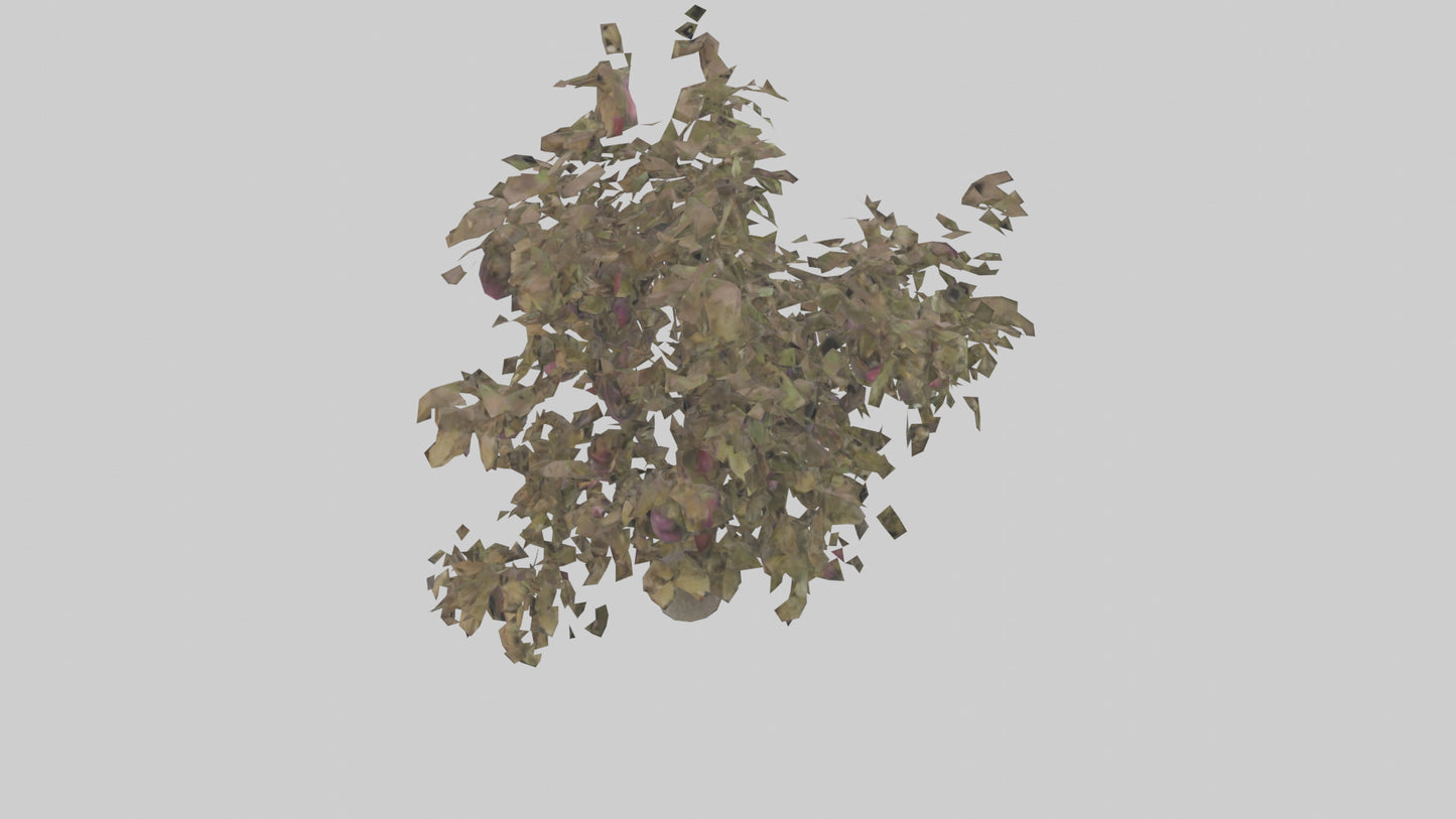 3D model Plum tree model VR / AR / low-poly
