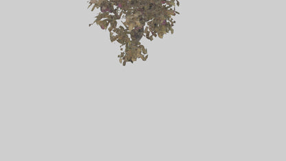 3D model Plum tree model VR / AR / low-poly