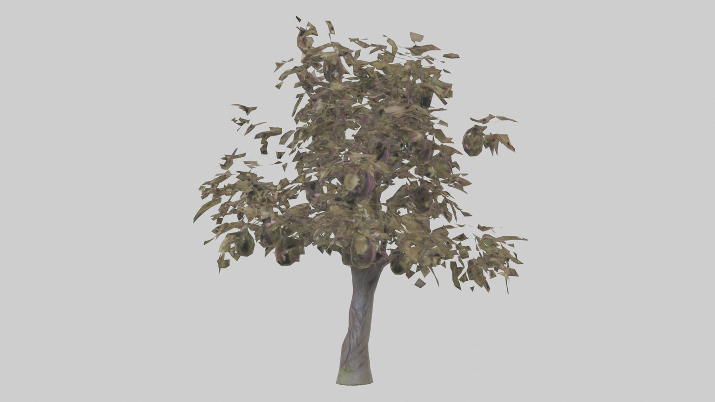 3D model Plum tree model VR / AR / low-poly