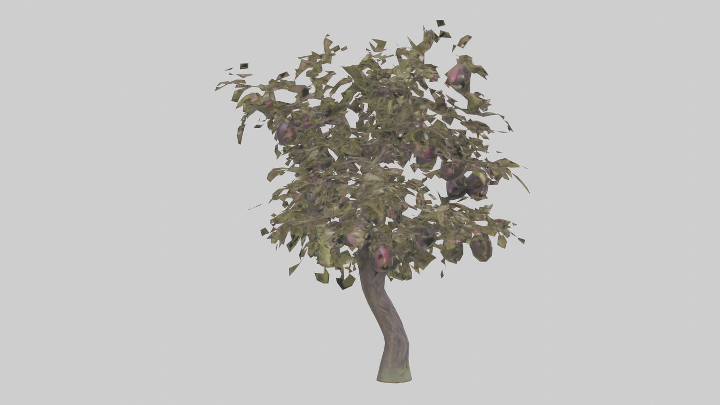 3D model Plum tree model VR / AR / low-poly