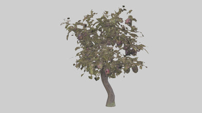 3D model Plum tree model VR / AR / low-poly