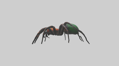 3D model Poisonous spider model VR / AR / low-poly