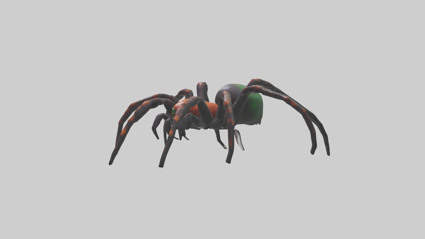3D model Poisonous spider model VR / AR / low-poly