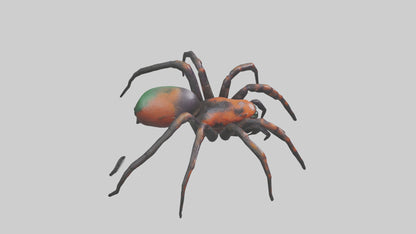 3D model Poisonous spider model VR / AR / low-poly