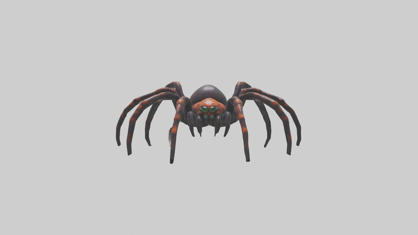 3D model Poisonous spider model VR / AR / low-poly