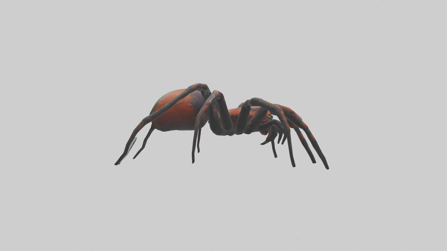 3D model Poisonous spider model VR / AR / low-poly