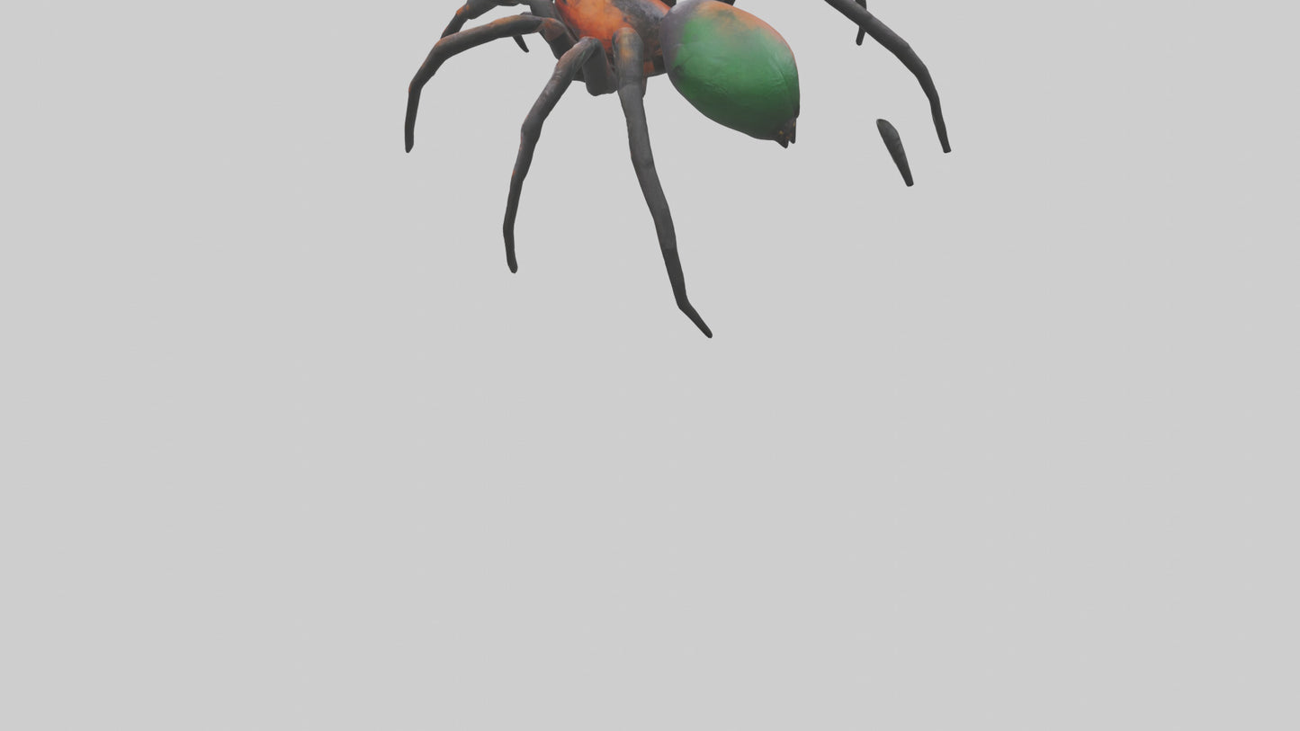 3D model Poisonous spider model VR / AR / low-poly