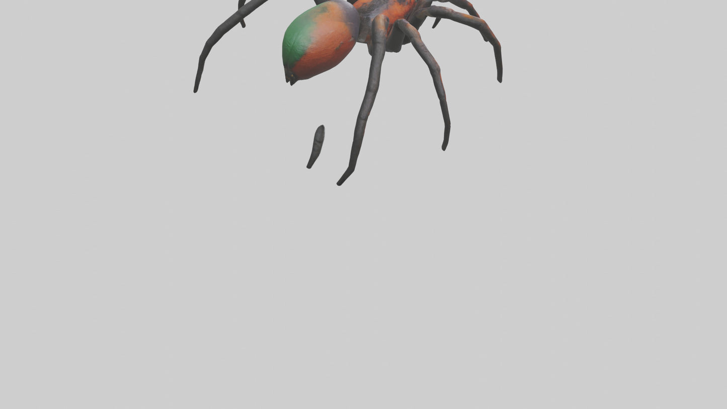 3D model Poisonous spider model VR / AR / low-poly