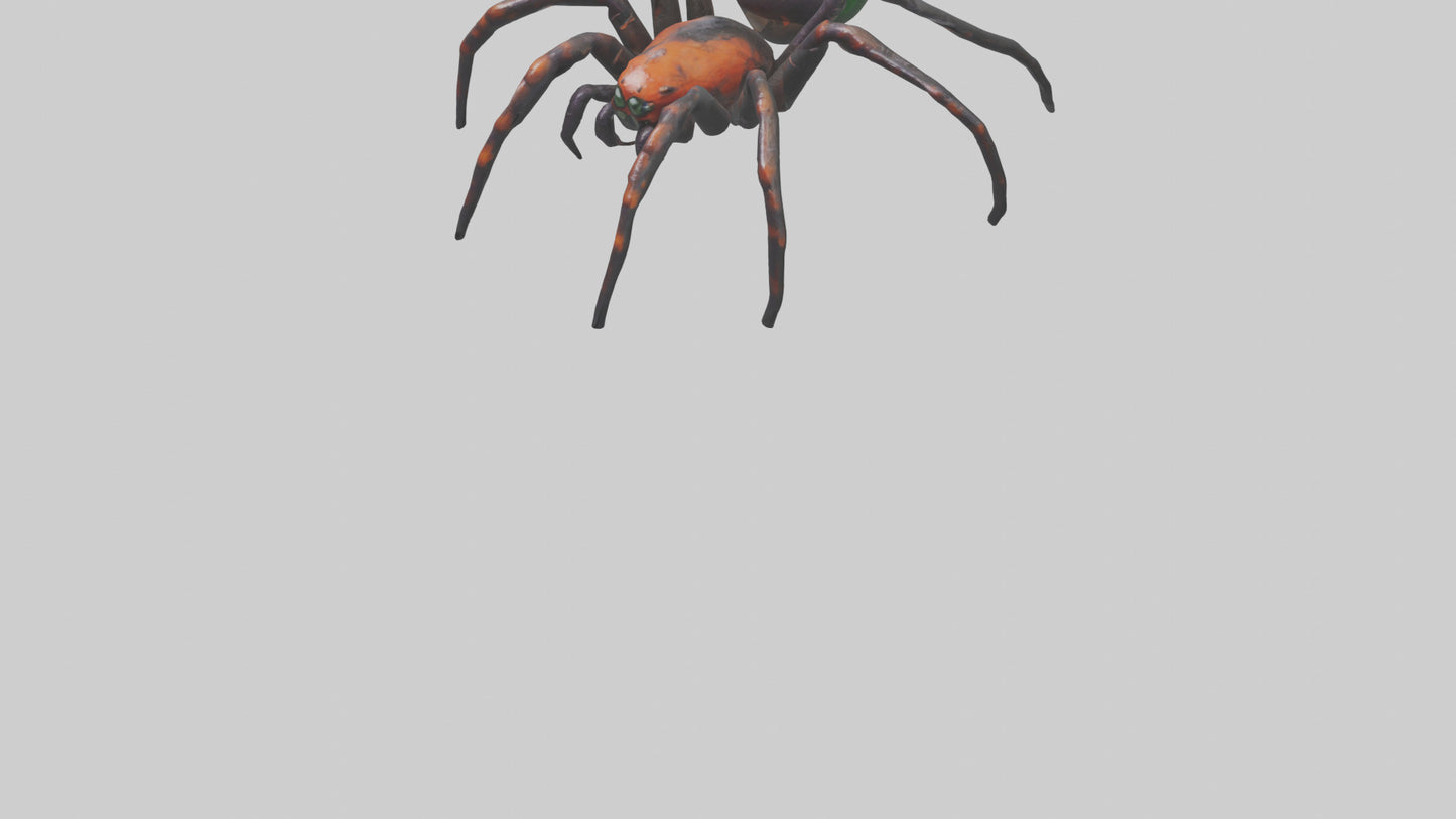 3D model Poisonous spider model VR / AR / low-poly