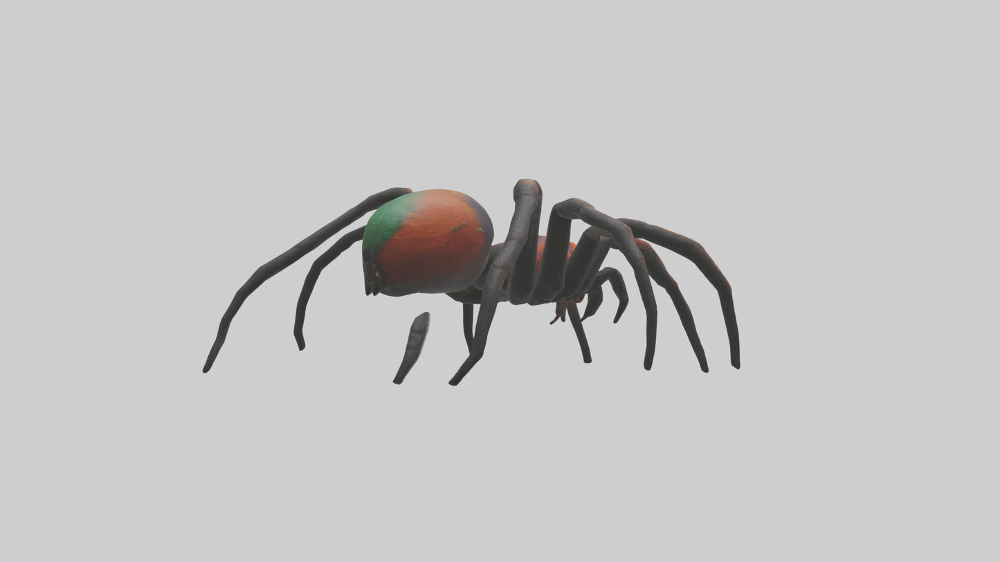 3D model Poisonous spider model VR / AR / low-poly