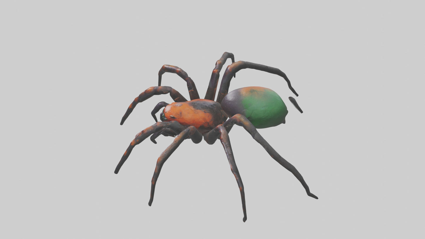 3D model Poisonous spider model VR / AR / low-poly