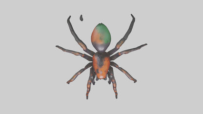 3D model Poisonous spider model VR / AR / low-poly