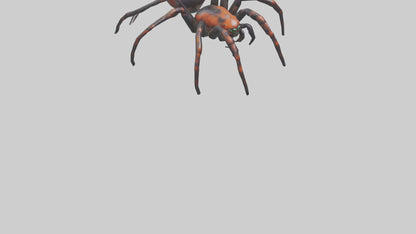 3D model Poisonous spider model VR / AR / low-poly