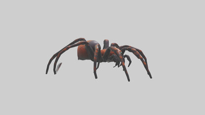 3D model Poisonous spider model VR / AR / low-poly