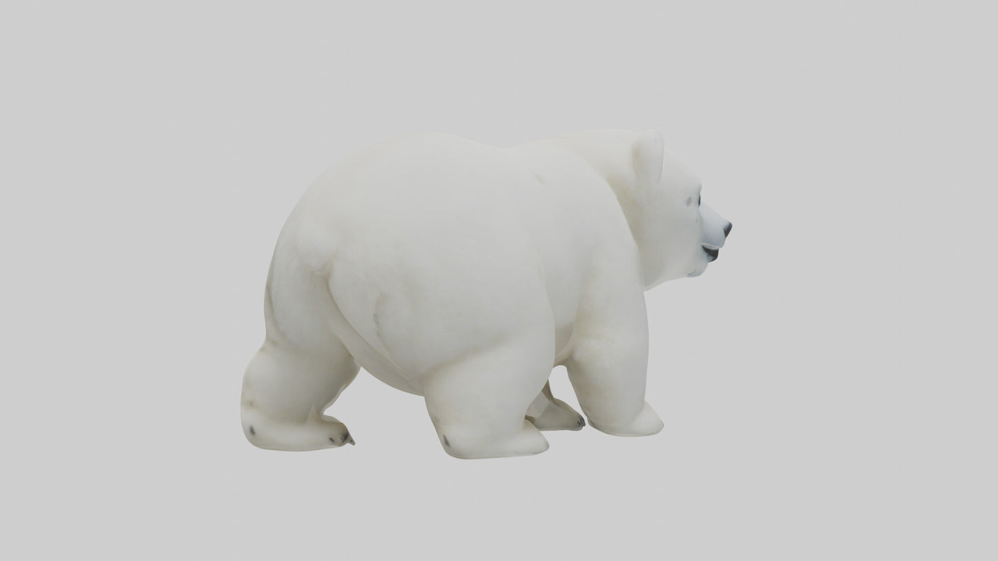 3D model Polar Bear cub playing model VR / AR / low-poly