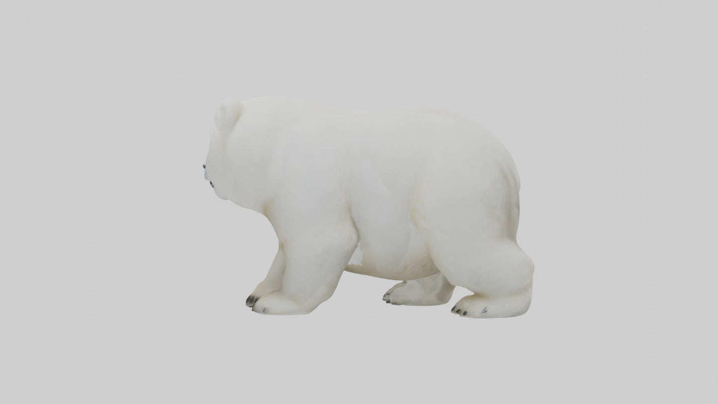 3D model Polar Bear cub playing model VR / AR / low-poly
