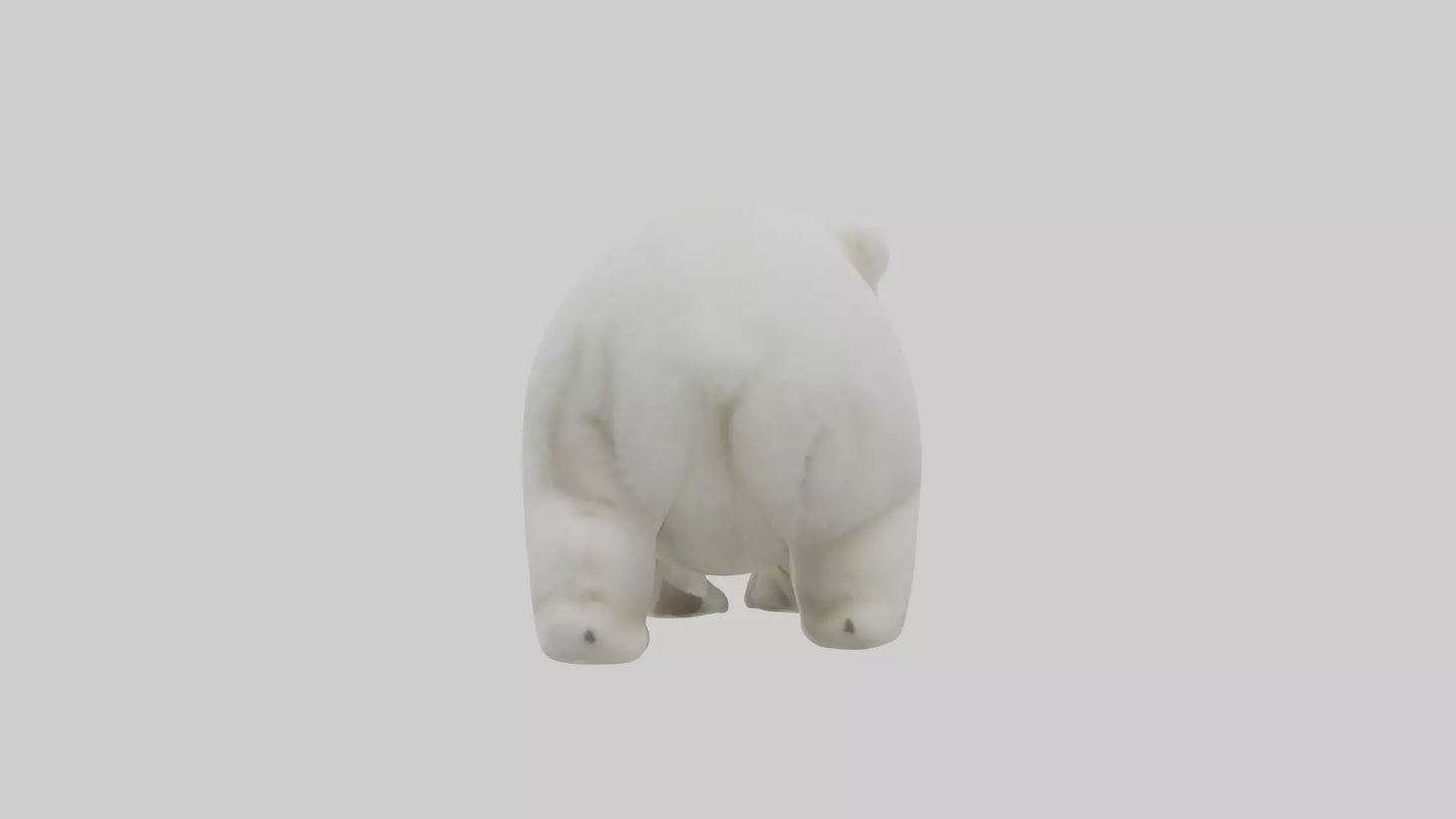 3D model Polar Bear cub playing model VR / AR / low-poly
