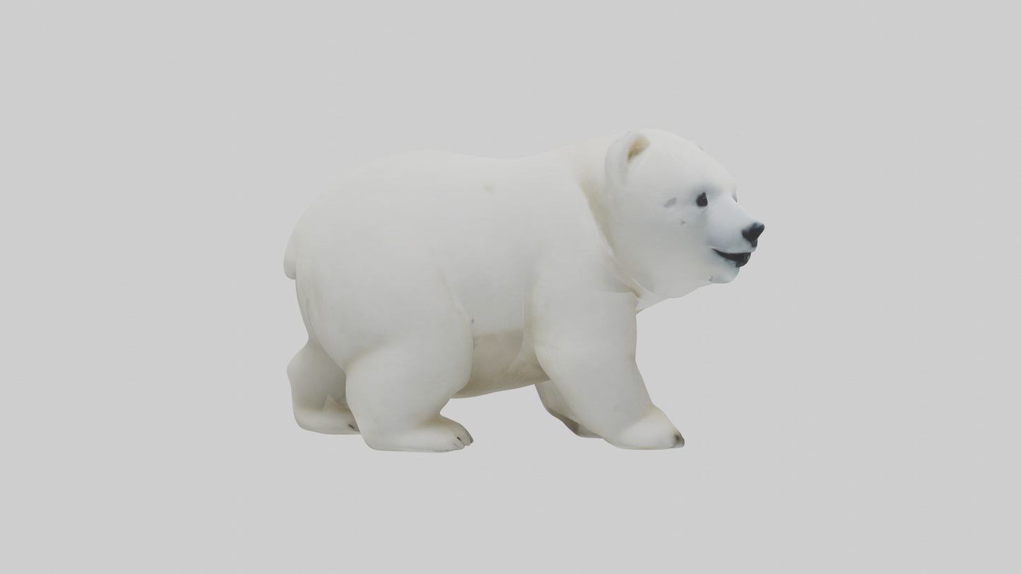 3D model Polar Bear cub playing model VR / AR / low-poly