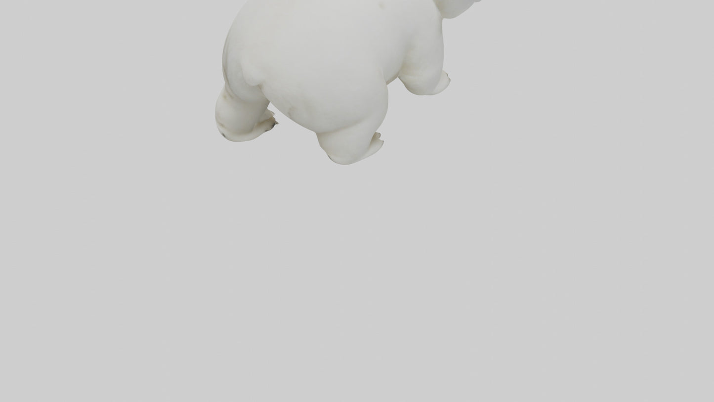 3D model Polar Bear cub playing model VR / AR / low-poly