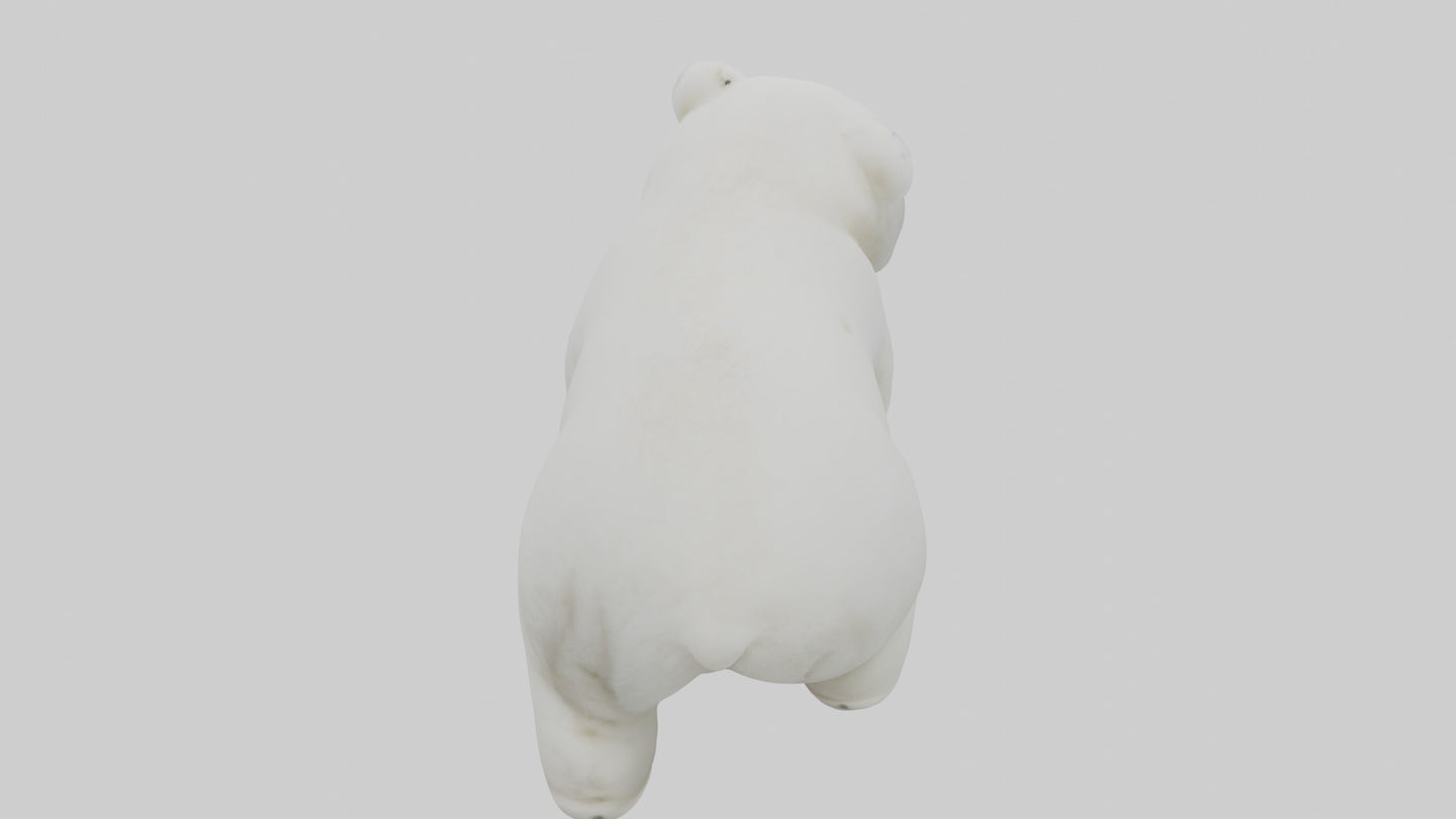 3D model Polar Bear cub playing model VR / AR / low-poly
