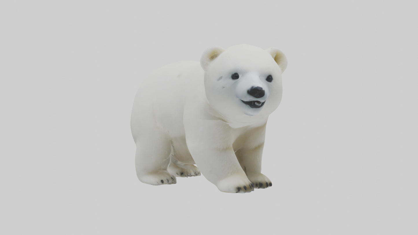 3D model Polar Bear cub playing model VR / AR / low-poly