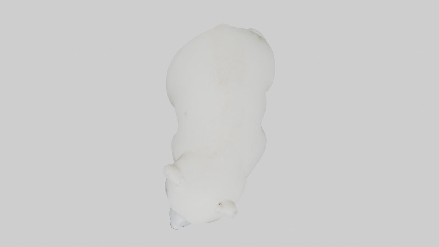 3D model Polar Bear cub playing model VR / AR / low-poly