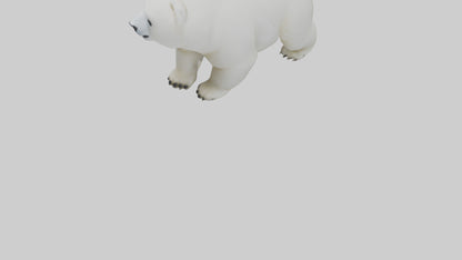 3D model Polar Bear cub playing model VR / AR / low-poly