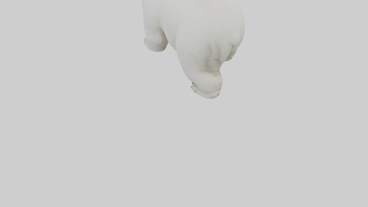 3D model Polar Bear cub playing model VR / AR / low-poly