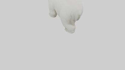3D model Polar Bear cub playing model VR / AR / low-poly