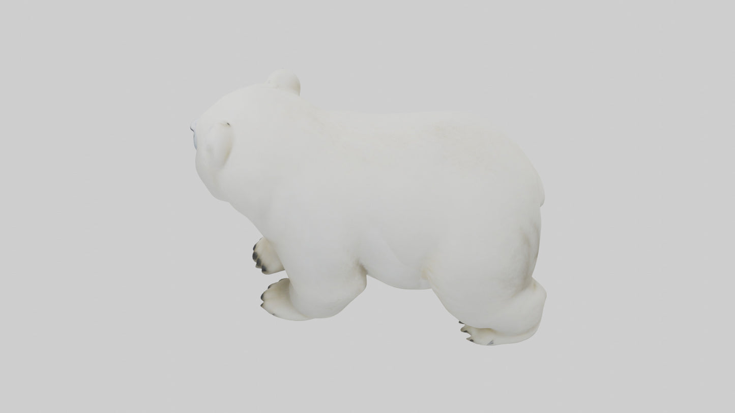 3D model Polar Bear cub playing model VR / AR / low-poly