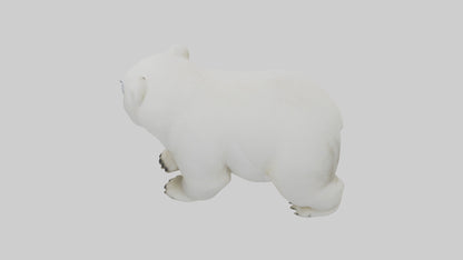 3D model Polar Bear cub playing model VR / AR / low-poly