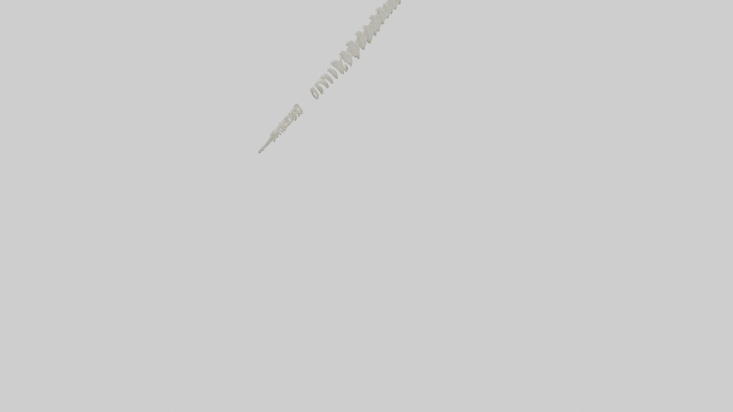 Polar Bear Spine VR / AR / low-poly